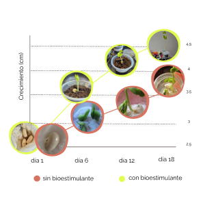 Detalle del proyecto Bioco 10