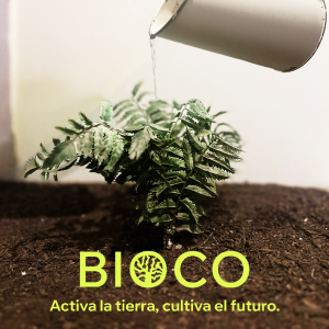 Detalle del proyecto Bioco 2