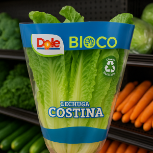 Detalle del proyecto Bioco 6