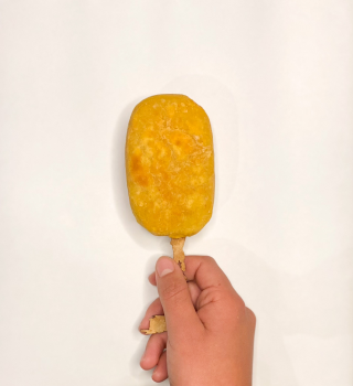 Detalle del proyecto chile 1