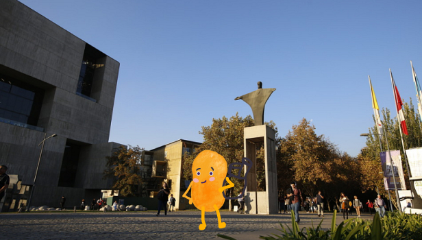 Detalle del proyecto chile 10