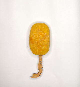 Detalle del proyecto chile 2