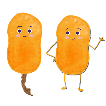 Detalle del proyecto chile 4