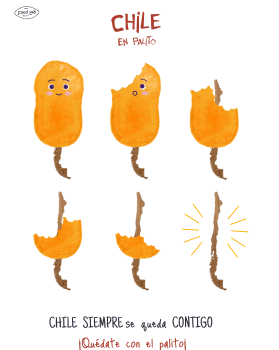 Detalle del proyecto chile 6