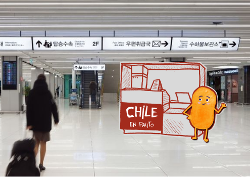 Detalle del proyecto chile 8