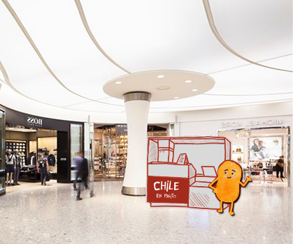 Detalle del proyecto chile 9